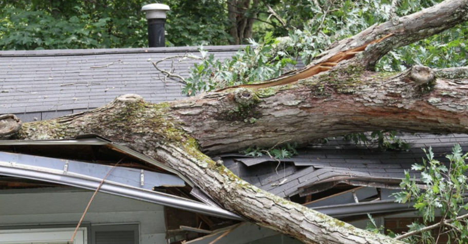 Tree fallen on house following a storm in Saint-Constant. It will be removed by Emondage Saint-Constant.