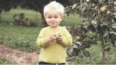 Niño en Saint-Constant comiendo una manzana de un manzano plantado por Emondage Saint-Constant.