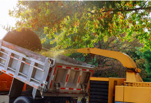Shredding of branches in Saint-Constant. The work is carried out by Emondage Saint-Constant.